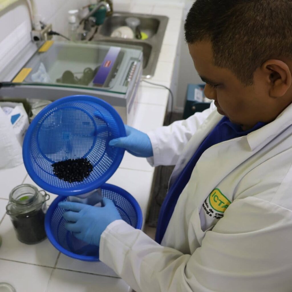 Banco de Germoplasma ICTA Oficinas Centrales